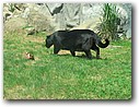 Foto_040.jpg