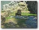 Foto_041.jpg