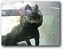 Foto_055.jpg