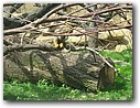 Foto_061.jpg