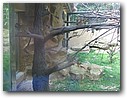 Foto_063.jpg