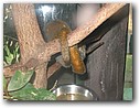Foto_066.jpg