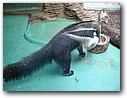 Foto_069.jpg