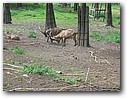 Foto_078.jpg