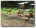 Foto_079.jpg