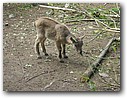Foto_080.jpg