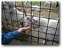 Foto_081.jpg