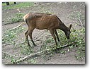 Foto_083.jpg