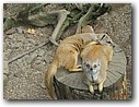 Foto_086.jpg