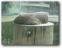 Foto_087.jpg
