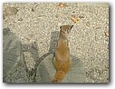 Foto_089.jpg