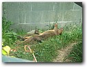 Foto_090.jpg
