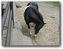Foto_092.jpg