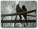 Foto_099.jpg