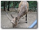 Foto_102.jpg