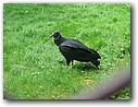 Foto_103.jpg