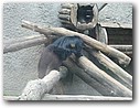 Foto_106.jpg