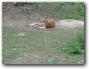 Foto_107.jpg