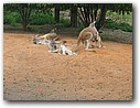 Foto_108.jpg