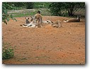 Foto_109.jpg