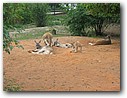 Foto_110.jpg
