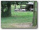 Foto_111.jpg