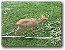 Foto_115.jpg