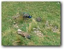 Foto_117.jpg
