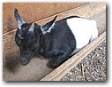 Foto_139.jpg