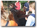 Foto_140.jpg