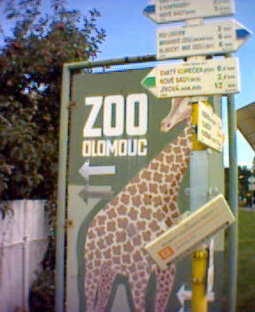 Fotky_008.jpg