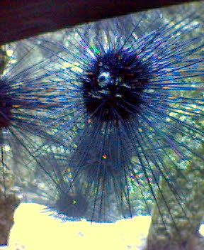 Fotky_013.jpg