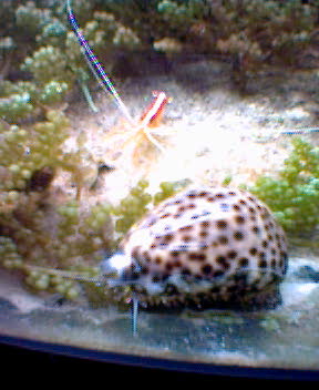 Fotky_014.jpg