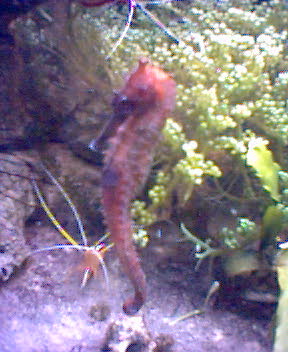 Fotky_015.jpg