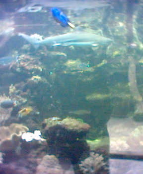 Fotky_017.jpg