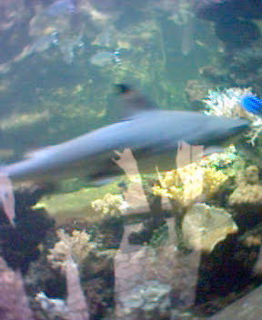 Fotky_018.jpg