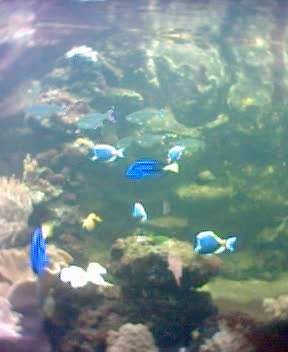 Fotky_019.jpg