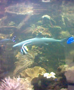 Fotky_020.jpg