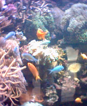 Fotky_021.jpg
