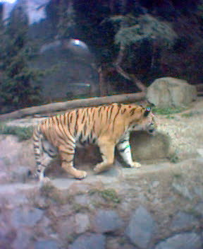 Fotky_022.jpg