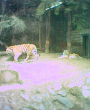 Fotky_023.jpg