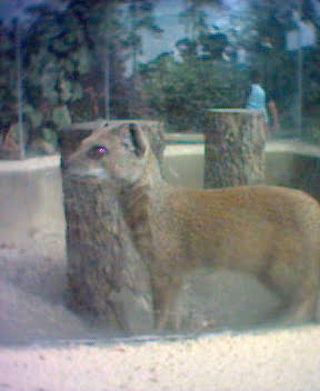 Fotky_024.jpg