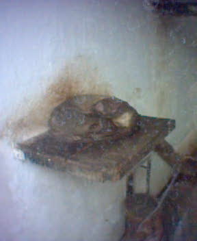 Fotky_025.jpg