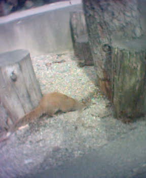Fotky_026.jpg