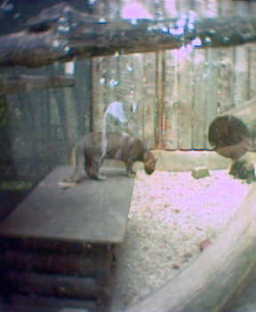 Fotky_027.jpg