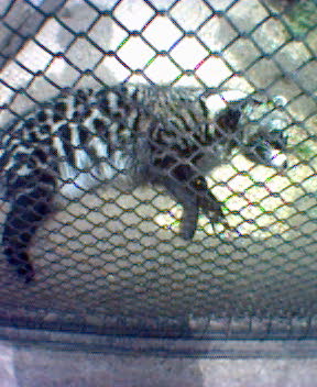 Fotky_028.jpg