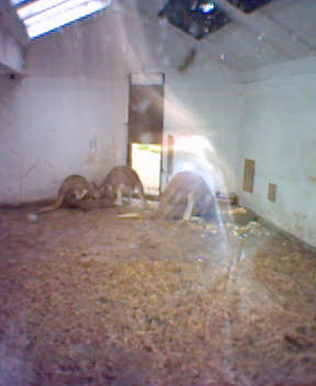 Fotky_031.jpg