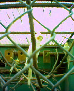 Fotky_032.jpg