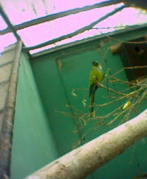 Fotky_033.jpg
