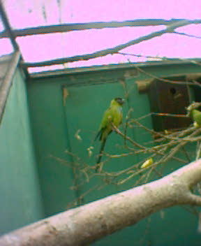 Fotky_034.jpg